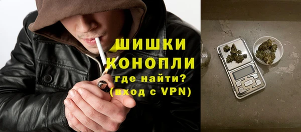 прущие грибы Лагань