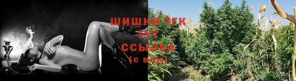 мяу мяу мука Алагир
