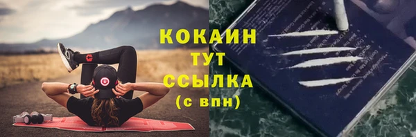 прущие грибы Лихославль