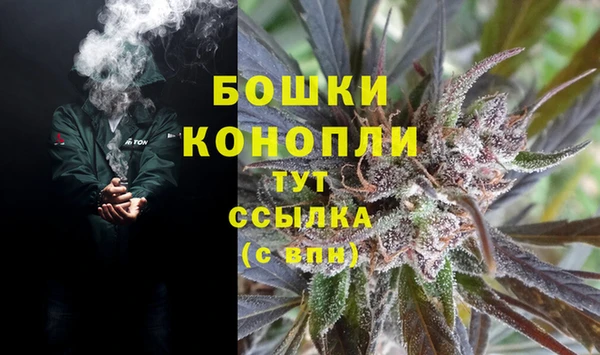 прущие грибы Лагань