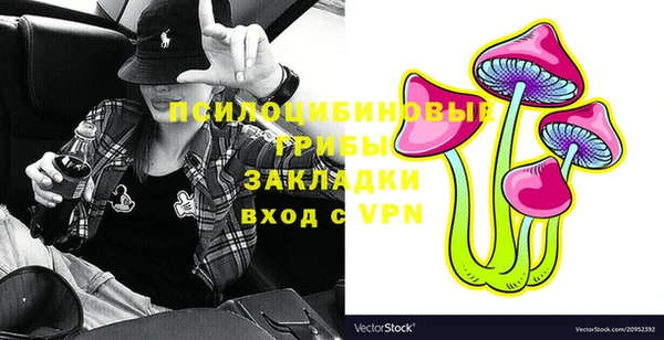 МДПВ Ладушкин